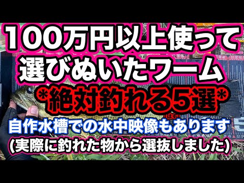 絶対釣れるはずワーム"５選" 実際に釣れたワームのみ選抜! 1ヶ月間で100万円以上をバス釣り関連で使った中で初心者でも特に釣れたワーム"５選"  #一生楽しめる趣味 "釣り" #オカッパリ