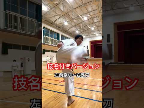 足蹴りコンボ #琉球空手 #karate #琉球古武術 #琉球古武道 #伝統空手 #martialarts #沖縄空手