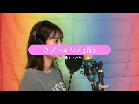 【+2】カブトムシ／aiko