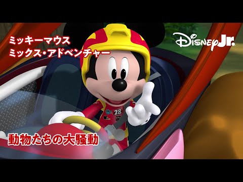 🚗ミッキーマウス ミックス・アドベンチャー｜動物たちの大騒動｜@disneyjuniorjp