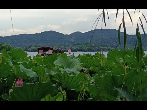 [旅遊Vlog] 杭州自由行! 吃喝玩樂 #travel #vlog #旅行 #Wast Lake#hangzhou #杭州 #西湖 #自由行