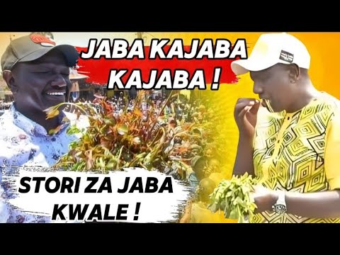 UONGO IMEFIKA KWALE!!!