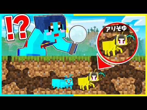 アリの力を使ってチート逃走中！ママから逃げろ🔥【まいくら / マインクラフト】