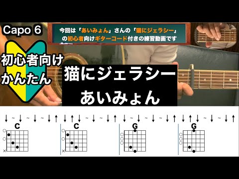 猫にジェラシー/あいみょん/ギター/コード/弾き語り/初心者向け/簡単