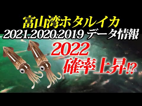 【ホタルイカ情報】３年間のデータをまとめ、ホタルイカの身投げ予測を立てる！