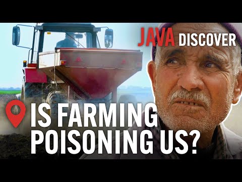 Phosphate Crisis: How Fertilisers Poison Children | Full Documentary