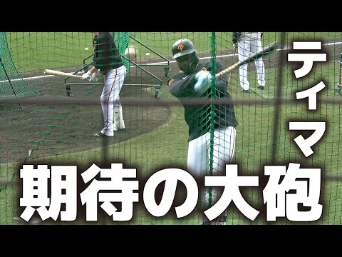 巨人　期待の大砲・ティマ　ティーバッティング　　宮崎2軍キャンプ　　ジャイアンツ　ソフトバンクホークス　プロ野球