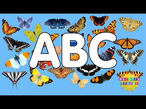 Butterfly ABC | Alphabet of Butterflies | NurseryTracks