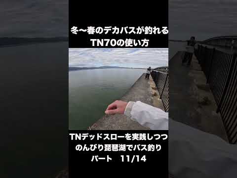 Directly taught by Mr. Kato! Explaining how to use the TN70 Dead Slow to catch big bass from wint...