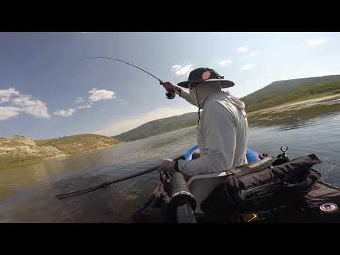 Epic Fly Fishing in Utah 2018-Brian Kretschmar-Stillwater Fly Fishing