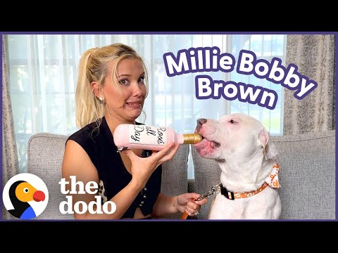 Millie Bobby Brown Goes On A Dodo Dream Date | The Dodo