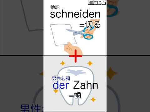 ドイツ🇩🇪語で「切る✂️」＋「歯🦷」とは？🧐 #shorts