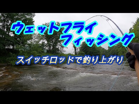 フライ編【ウェットフライフィッシング23】スイッチロッドで釣り上がり