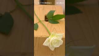 白バラ1本をプリザーブドフラワーに加工 #flowers #florist #ハンドメイド #ミニひまわり