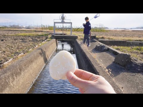 水路に餅を落とすと…