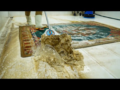 So Satisfying! ASMR Carpet Cleaning with Thick Foam & Scrubbing - ASMR Cleaning