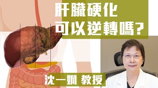 肝臟硬化可以逆轉嗎 ?｜沈一嫻教授｜