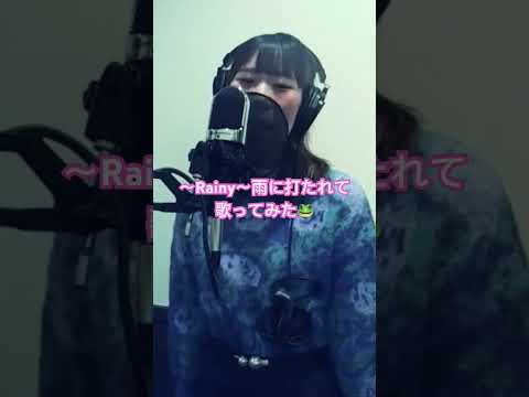 Rainy〜雨に打たれて〜歌ってみた #歌ってみた #カラオケ #cover #music #うたスキ動画 #キャナァーリ倶楽部#リズム天国#アイドル#ゲーム曲 #つんく