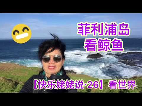 【快乐姥姥说Happy grandma talk·26·看世界】快乐姥姥先睹为快菲利普岛看鲸鱼，墨尔本的小伙伴们千万不要错过难得的奇景！