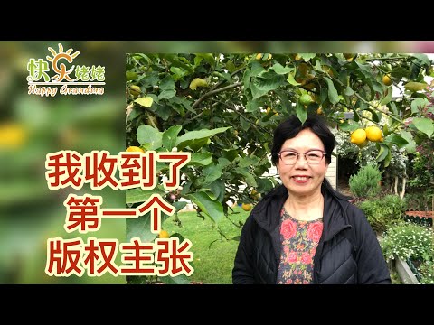 我收到了第一个版权主张【快乐姥姥·54】