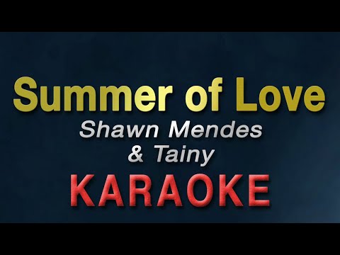 Summer Of Love - Shawn Mendes, Tainy | KARAOKE