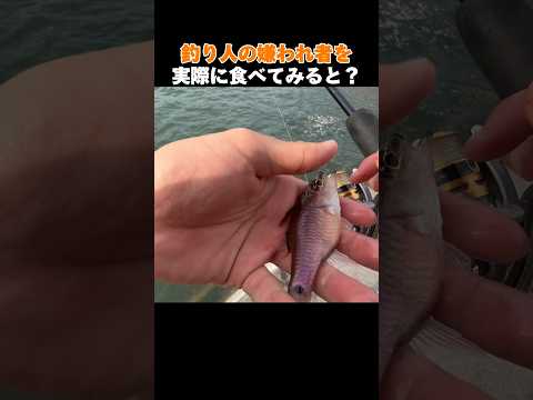 釣り人の嫌われ者を実際に食べてみると#shorts