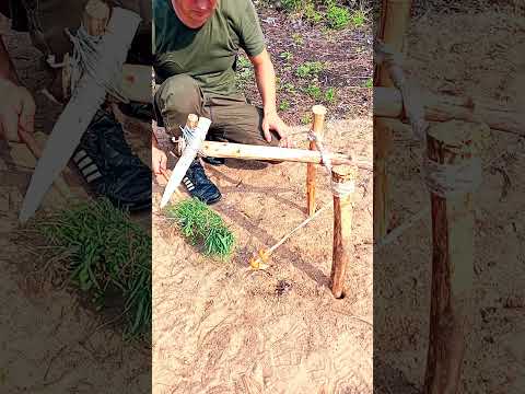 A THREE-MINUTE SURVIVAL TRAP #diy #trap #survival #bushcraft