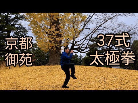 37式太極拳（於京都御苑）Tai Chi Chuan 37 From Performed by CY Yang at Kyoto Gyoen Garden