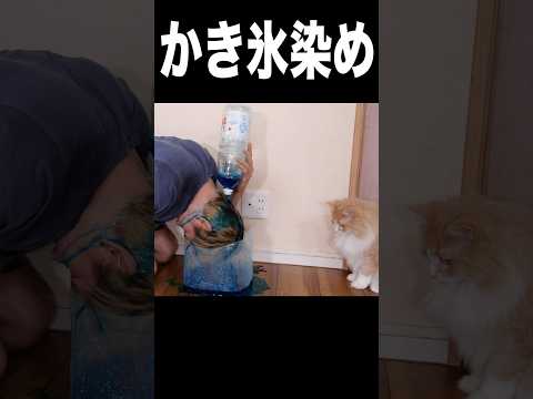 かき氷シロップで髪を染める男(ﾟωﾟ) PDS #shorts