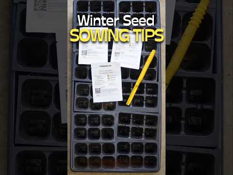 Winter Seed Sowing: Get Started Early With Tips and Tricks #shorts #seeds #winter