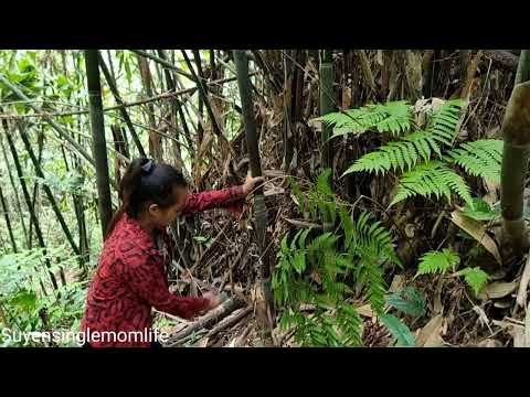 Single mom: Going into the forest to cut bamboo and being followed and attacked by bad guys.