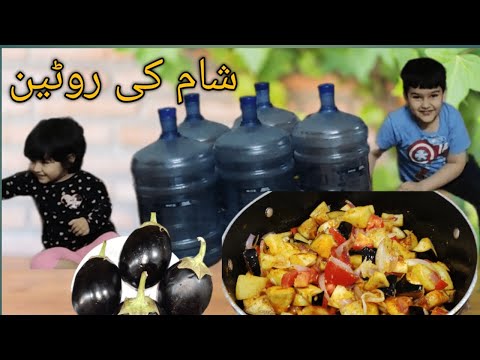 Meri sham ki routine||Aaj ka khas special dinner|Pakistani daily life vlog