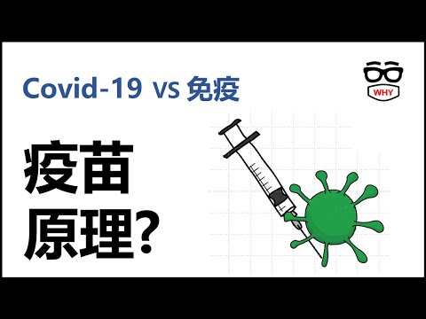 9分鐘搞懂疫苗原理和歷史|新冠病毒和疫苗的攻防戰 究竟誰會勝出?  為什麼我們需要疫苗?WHY WHITE 壞壞科普小教室