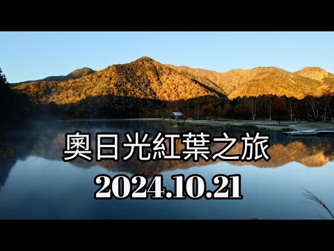 奧日光紅葉之旅Day 2（湯之湖朝燒、湯瀧瀑布、戰場原、龍頭瀑布）