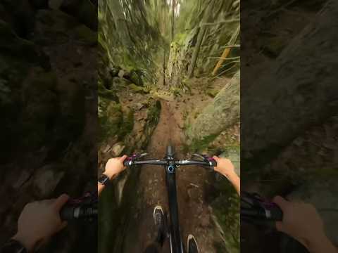 Crazy tight canyon trail in Norway!