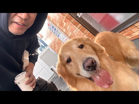 セブン犬チャレンジを再開してみました