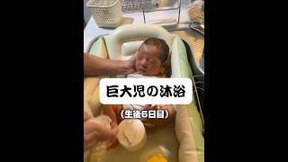 生まれて6日だよね...?#新生児#沐浴#赤ちゃん#赤ちゃんのいる暮らし#巨大児