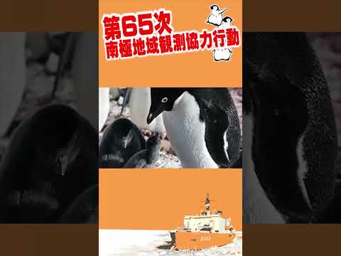 砕氷艦「しらせ」、南極のお友達 #shorts