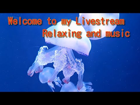 Hello everyone🎶 Welcome to my Livestream💖 Relaxation Video and music🎶