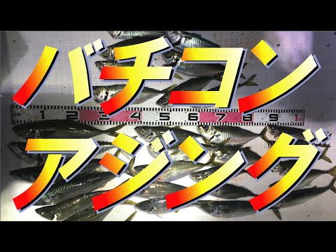 【バチコンアジング】良型アジ連発！仕掛けやオススメワーム紹介