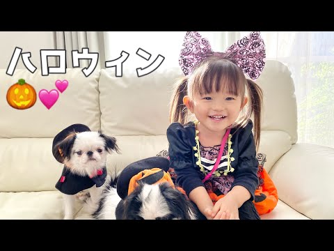 ハロウィンで可愛い衣装を着ました♡（2歳）コスプレ