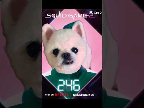 #둥글게둥글게 #오징어게임2 #squidgame2 #강아지 #cutedogvedio#강아지유치원