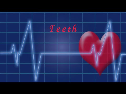 teeth   ファイヴ・セカンズ・オブ・サマー（英語歌詞付き）