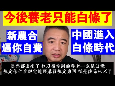 翟山鹰：為什麼說今後養老只能白條了丨中國進入白條時代丨新農合逼你自費