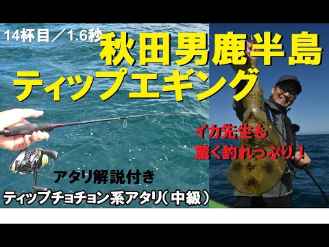 イカ先生「秋田県男鹿半島沖ティップランでアオリイカ爆釣！」【アタリパターン解説付き】