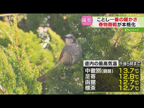 フキノトウも顔を出す！　自転車や靴、始まる春物商戦　春の陽気で春物はやくもかき入れどき　北海道