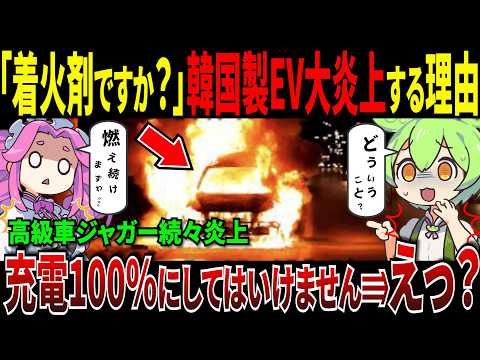 韓国EV大号泣の理由、バッテリー火災連発で賠償金1300億円...【ずんだもん＆ゆっくり解説】