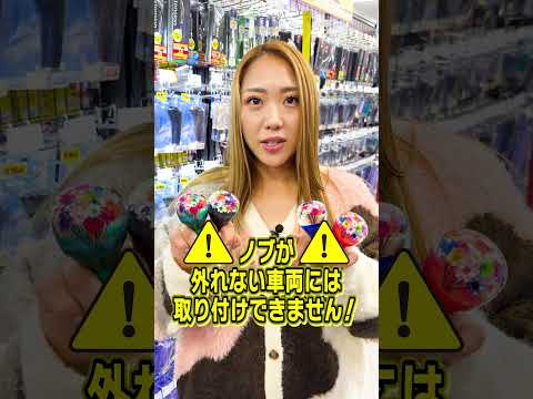 貴方の愛車にはつけられる？【水中花ノブ】 #shorts