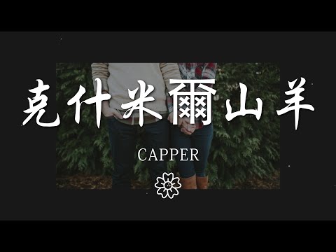 Capper - 克什米爾山羊『Gold cashmere goat』【動態歌詞Lyrics】