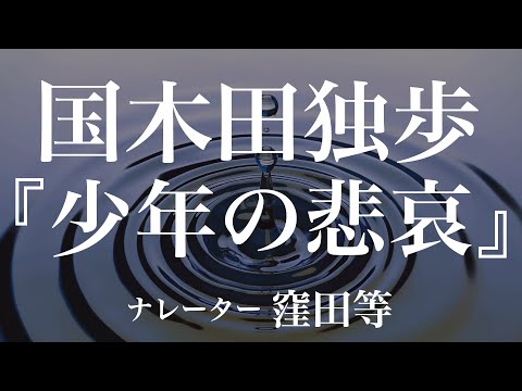 『少年の悲哀』作：国木田独歩　朗読：窪田等　作業用BGMや睡眠導入 おやすみ前 教養にも 本好き 青空文庫